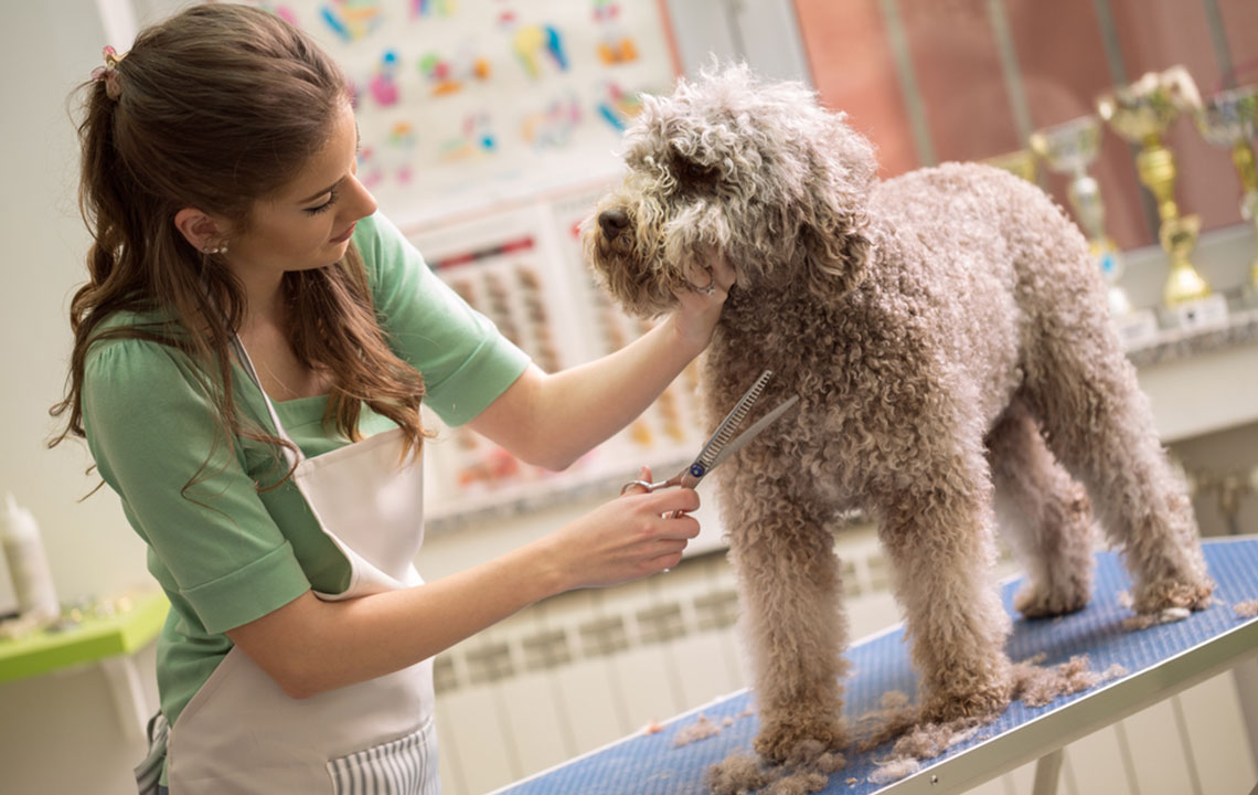 Here’s why dogs are considered the best pets