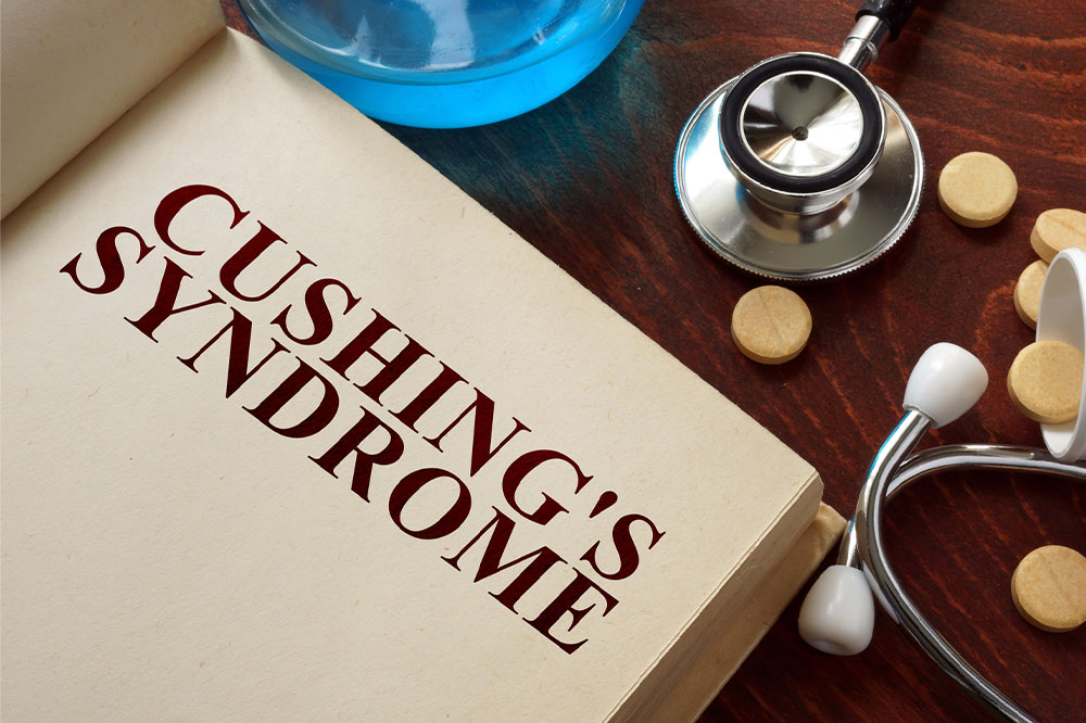 Cushing’s Disease in Dogs – Symptoms, Diagnosis, and Management